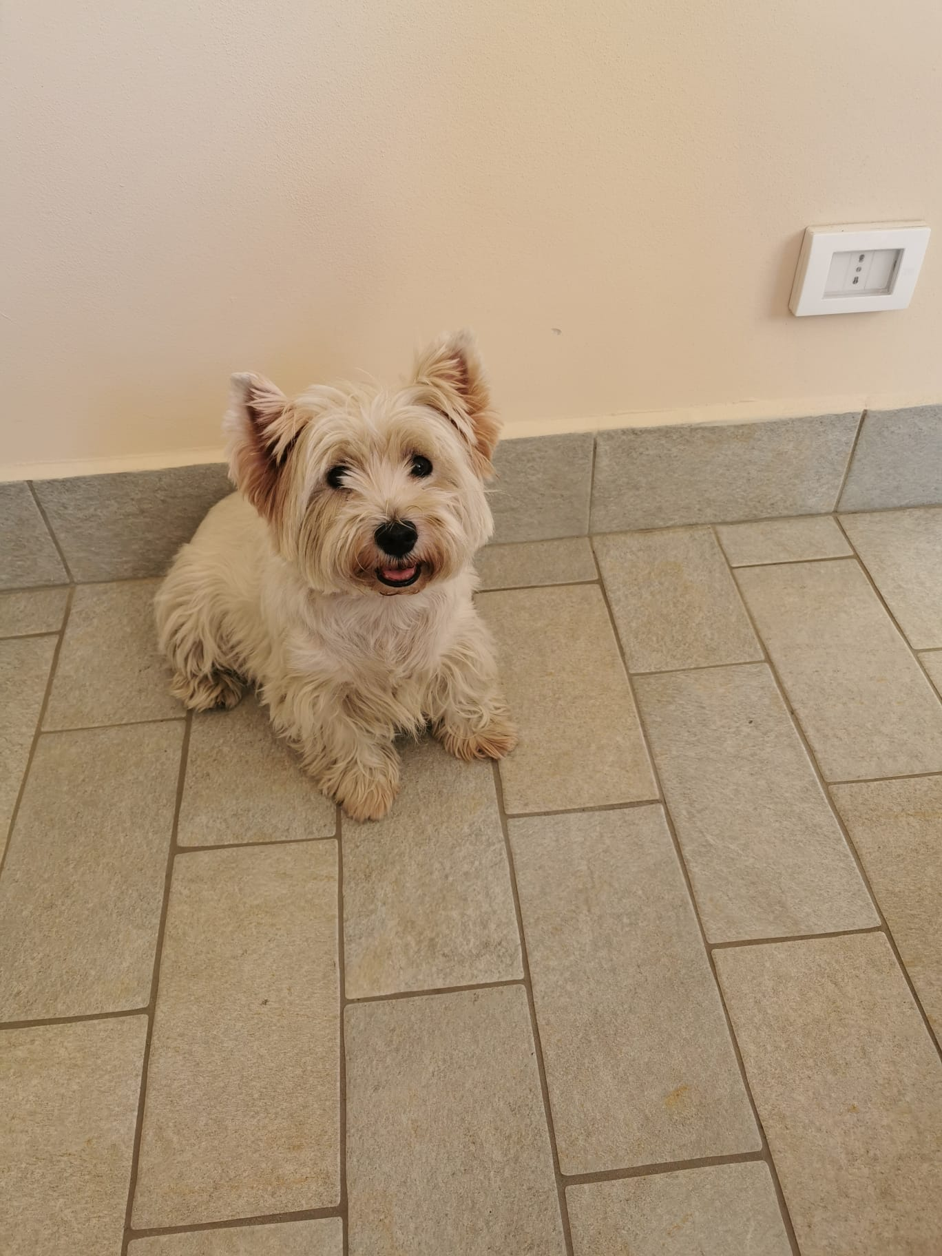 Carica la tua Immagine